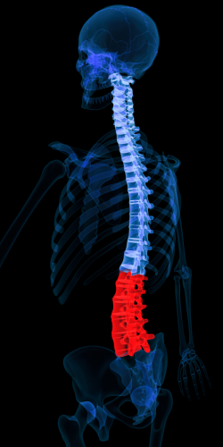 Minimally invasive lumbar Spine Surgery in Las Vegas, Nevada